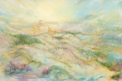 תמונה של ארץ הקודש | פנינה שליידר
