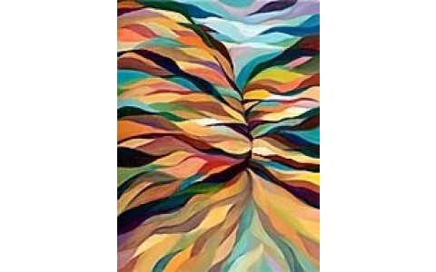 10081