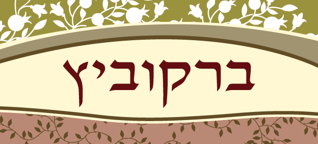שלט מעוצב לבית דגם ברקוביץ
