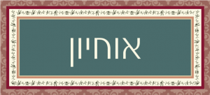שלט מעוצב לבית דגם אוחיון