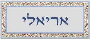 שלט מעוצב לבית דגם אריאלי