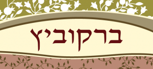 שלט מעוצב לבית דגם ברקוביץ